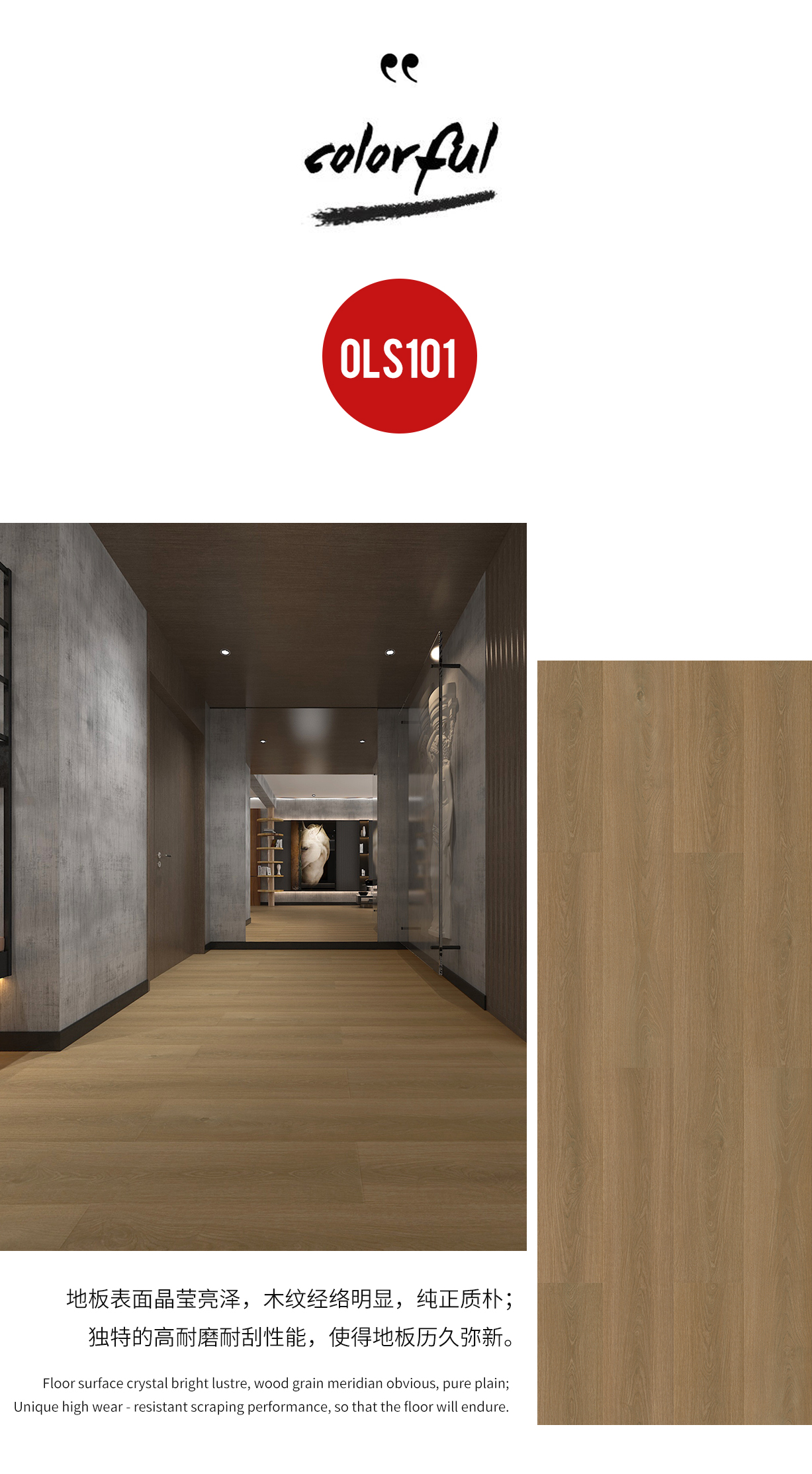 San Lorenzo 圣洛伦索91